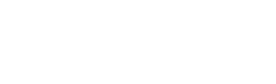 ThinkPlus